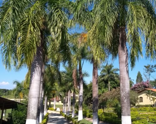 WhatsApp Image 2025-01-20 at 13.11.54