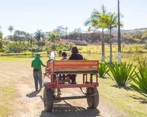 WhatsApp Image 2025-01-20 at 13.11.55