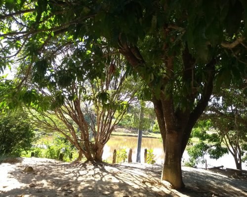 WhatsApp Image 2025-04-22 at 17.42.39 (1)