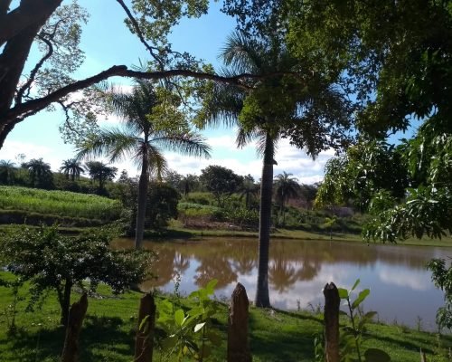 WhatsApp Image 2025-04-22 at 17.42.39