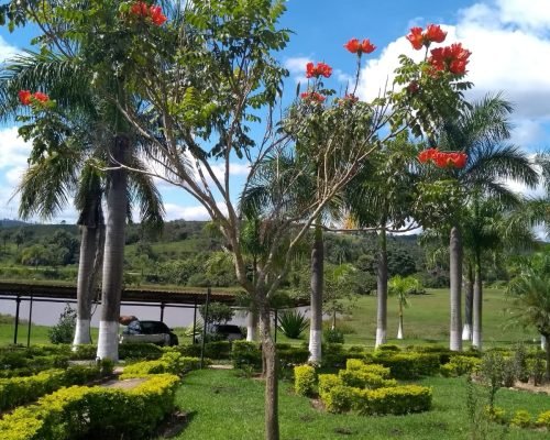 WhatsApp Image 2025-04-22 at 17.42.40 (1)