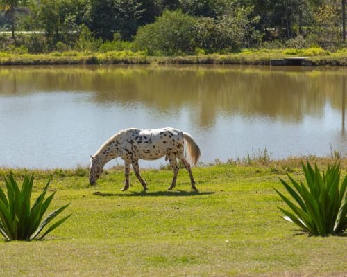 WhatsApp Image 2025-04-22 at 17.42.40 (2)